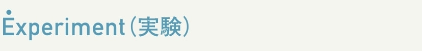 Experiment（実験）